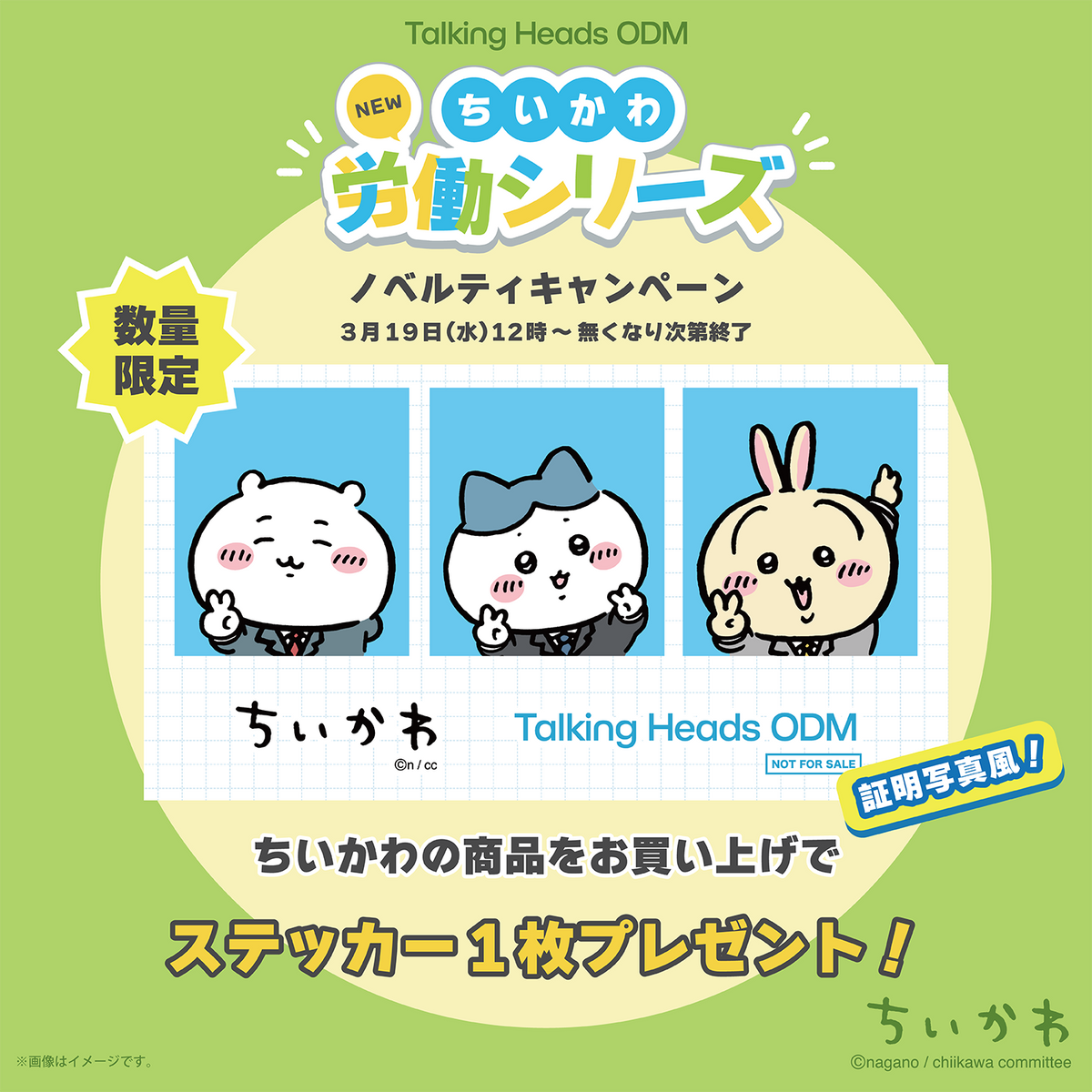 250319_odm_lp_novelt_y_1200x12